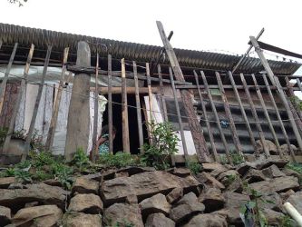 Comeaux DDS Community Involvement